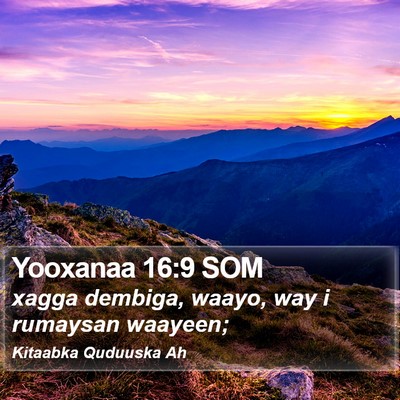 Yooxanaa 16:9 SOM Bible Verse Image
