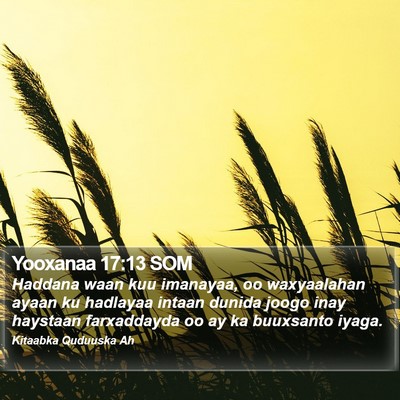 Yooxanaa 17:13 SOM Bible Verse Image