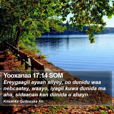 Yooxanaa 17:14 SOM Bible Verse Image