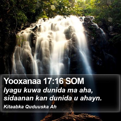 Yooxanaa 17:16 SOM Bible Verse Image