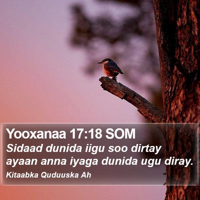 Yooxanaa 17:18 SOM Bible Verse Image
