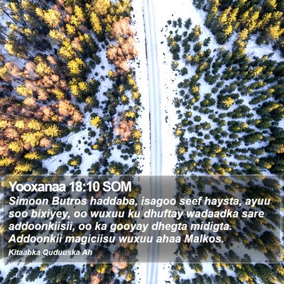 Yooxanaa 18:10 SOM Bible Verse Image