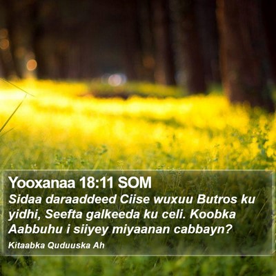 Yooxanaa 18:11 SOM Bible Verse Image