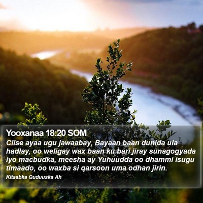 Yooxanaa 18:20 SOM Bible Verse Image