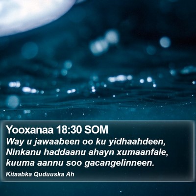 Yooxanaa 18:30 SOM Bible Verse Image