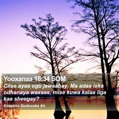 Yooxanaa 18:34 SOM Bible Verse Image