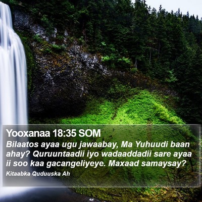 Yooxanaa 18:35 SOM Bible Verse Image