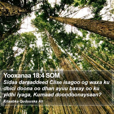 Yooxanaa 18:4 SOM Bible Verse Image