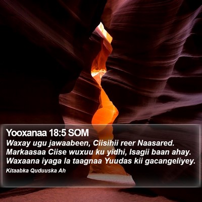 Yooxanaa 18:5 SOM Bible Verse Image