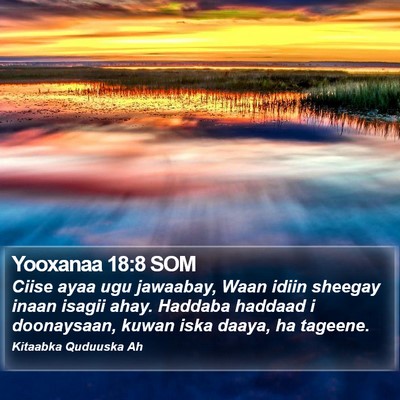 Yooxanaa 18:8 SOM Bible Verse Image