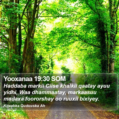 Yooxanaa 19:30 SOM Bible Verse Image