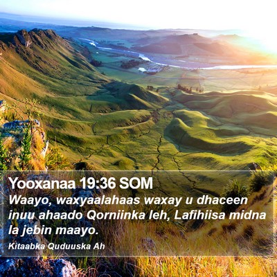 Yooxanaa 19:36 SOM Bible Verse Image