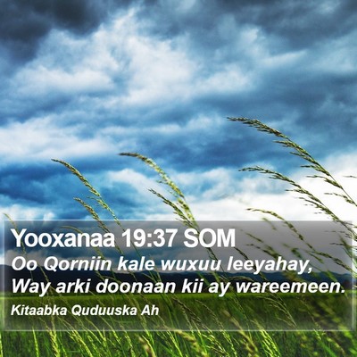 Yooxanaa 19:37 SOM Bible Verse Image