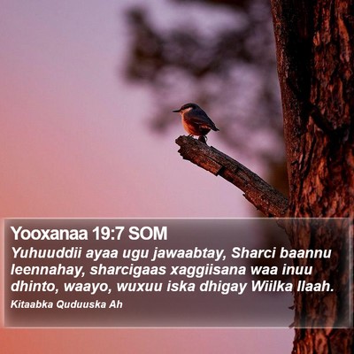 Yooxanaa 19:7 SOM Bible Verse Image