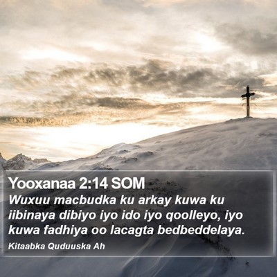 Yooxanaa 2:14 SOM Bible Verse Image