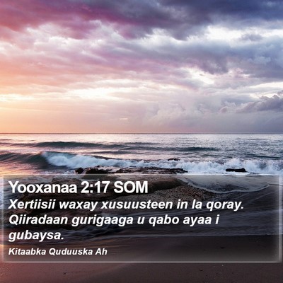 Yooxanaa 2:17 SOM Bible Verse Image