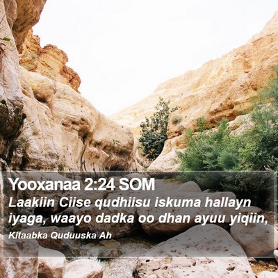Yooxanaa 2:24 SOM Bible Verse Image