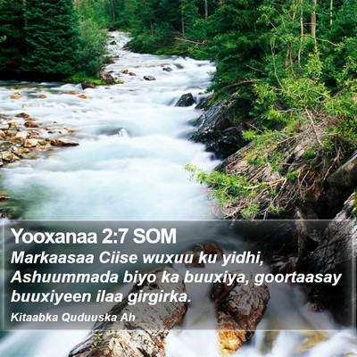 Yooxanaa 2:7 SOM Bible Verse Image