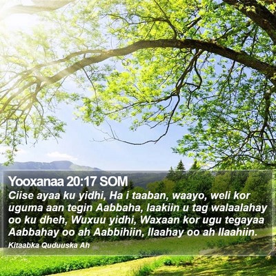Yooxanaa 20:17 SOM Bible Verse Image