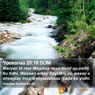 Yooxanaa 20:18 SOM Bible Verse Image