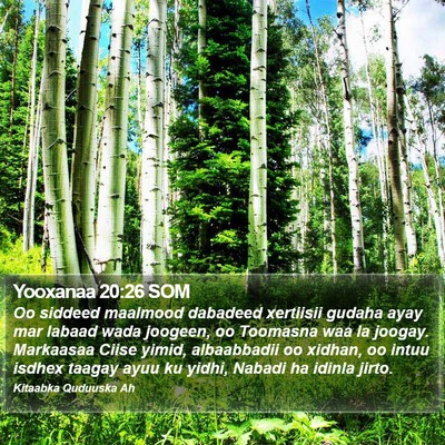 Yooxanaa 20:26 SOM Bible Verse Image