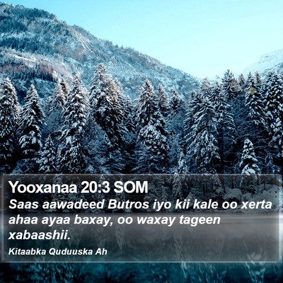 Yooxanaa 20:3 SOM Bible Verse Image