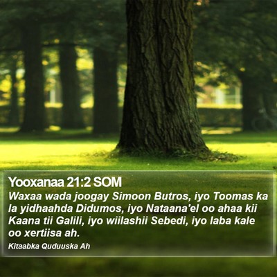 Yooxanaa 21:2 SOM Bible Verse Image