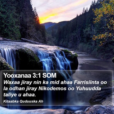 Yooxanaa 3:1 SOM Bible Verse Image