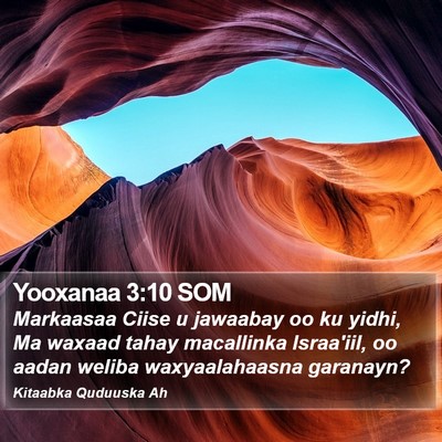 Yooxanaa 3:10 SOM Bible Verse Image