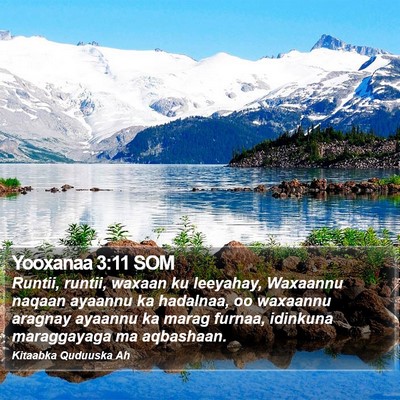Yooxanaa 3:11 SOM Bible Verse Image