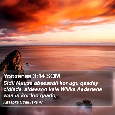 Yooxanaa 3:14 SOM Bible Verse Image
