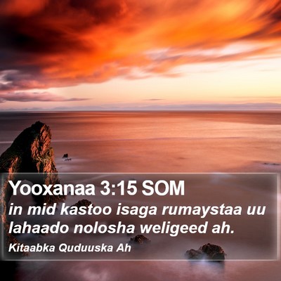 Yooxanaa 3:15 SOM Bible Verse Image