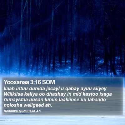 Yooxanaa 3:16 SOM Bible Verse Image