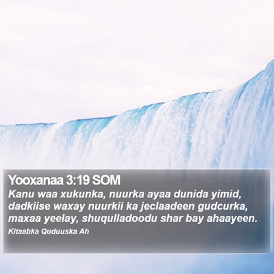 Yooxanaa 3:19 SOM Bible Verse Image