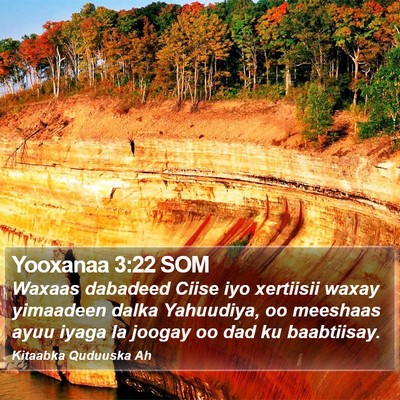 Yooxanaa 3:22 SOM Bible Verse Image