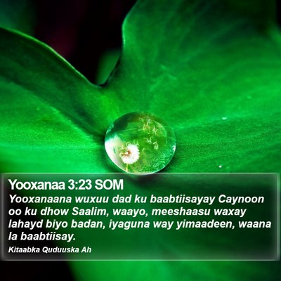 Yooxanaa 3:23 SOM Bible Verse Image