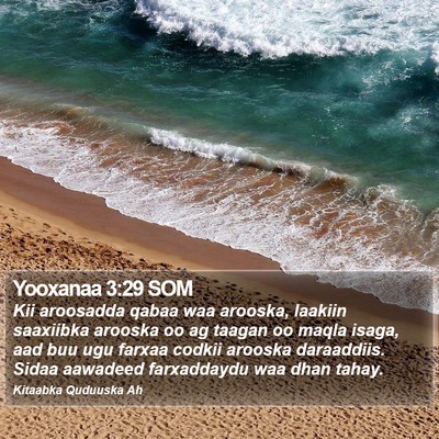 Yooxanaa 3:29 SOM Bible Verse Image