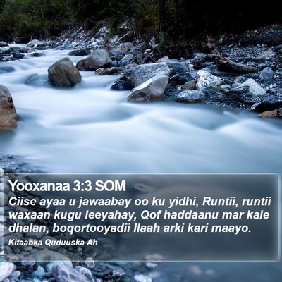Yooxanaa 3:3 SOM Bible Verse Image