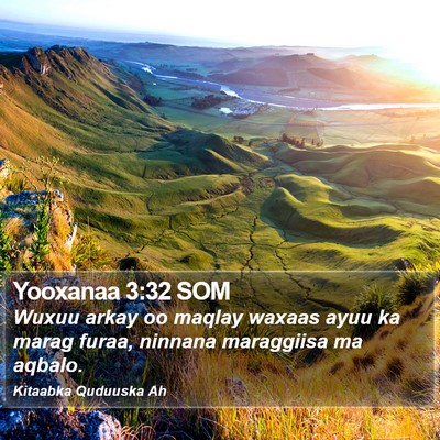Yooxanaa 3:32 SOM Bible Verse Image