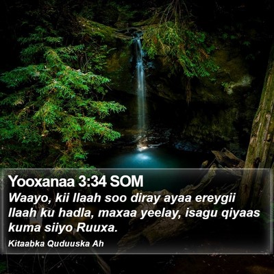 Yooxanaa 3:34 SOM Bible Verse Image
