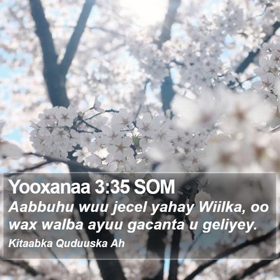 Yooxanaa 3:35 SOM Bible Verse Image