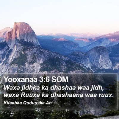 Yooxanaa 3:6 SOM Bible Verse Image