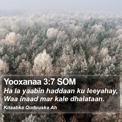 Yooxanaa 3:7 SOM Bible Verse Image