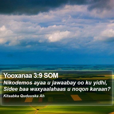Yooxanaa 3:9 SOM Bible Verse Image