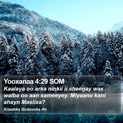 Yooxanaa 4:29 SOM Bible Verse Image