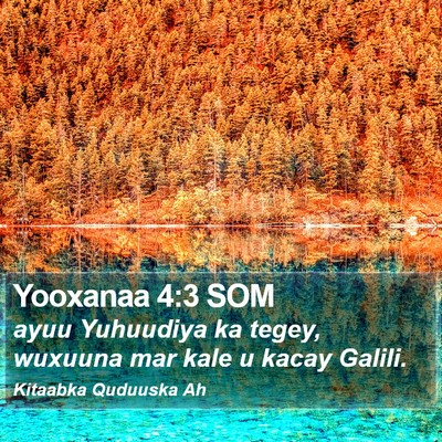 Yooxanaa 4:3 SOM Bible Verse Image