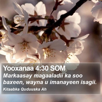 Yooxanaa 4:30 SOM Bible Verse Image
