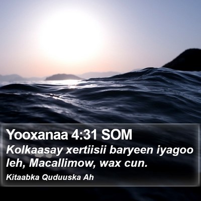 Yooxanaa 4:31 SOM Bible Verse Image