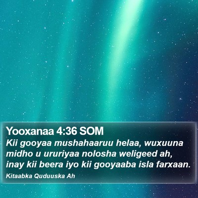 Yooxanaa 4:36 SOM Bible Verse Image