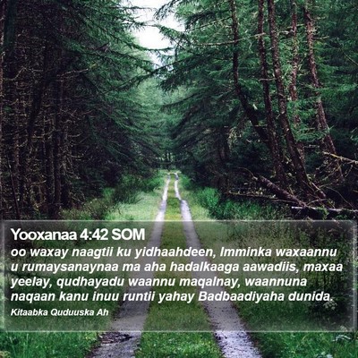 Yooxanaa 4:42 SOM Bible Verse Image